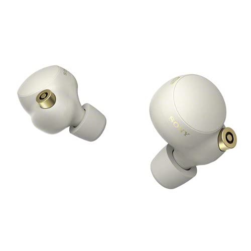 Sony Noise Canceling Earbuds