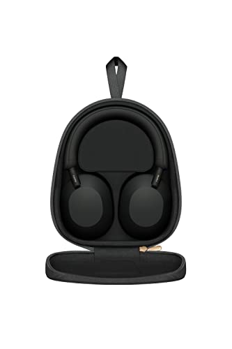 Sony Noise Canceling Headphones