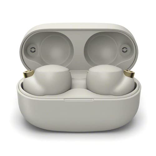 Sony Noise Canceling Earbuds