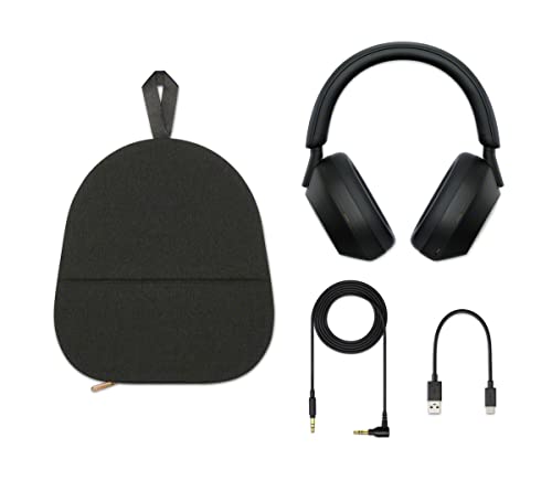 Sony Noise Canceling Headphones
