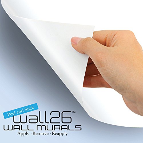 Removable Dry Erase Wall Chalkboard