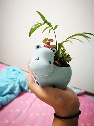Hippo Shaped Ceramic Succulent Planter