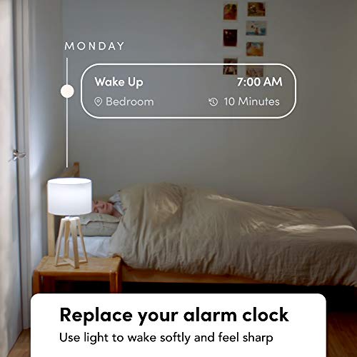 Smart LED Light Bulb (2-Pack)