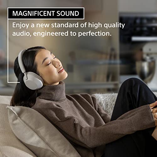 Sony Noise Canceling Headphones