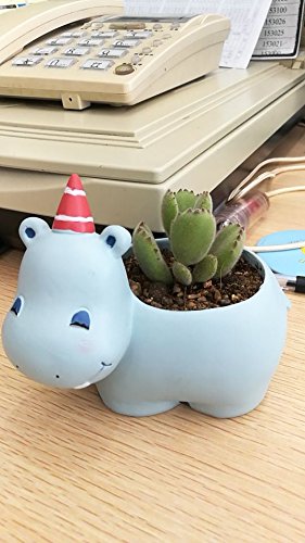 Hippo Shaped Ceramic Succulent Planter