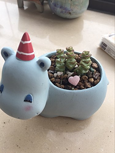Hippo Shaped Ceramic Succulent Planter