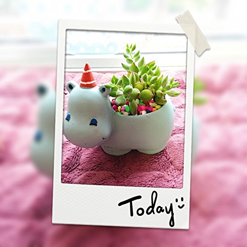 Hippo Shaped Ceramic Succulent Planter