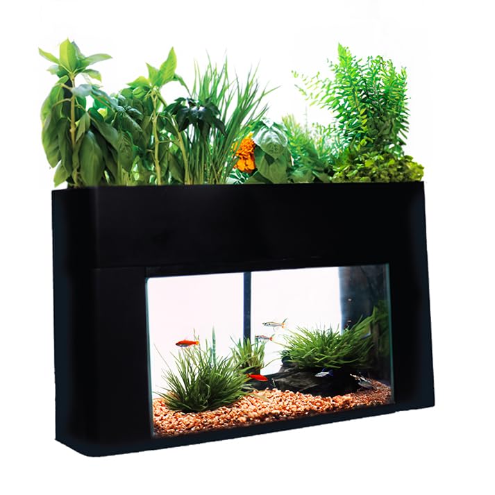 Aquaponics Garden Kit for Desktop Aquarium