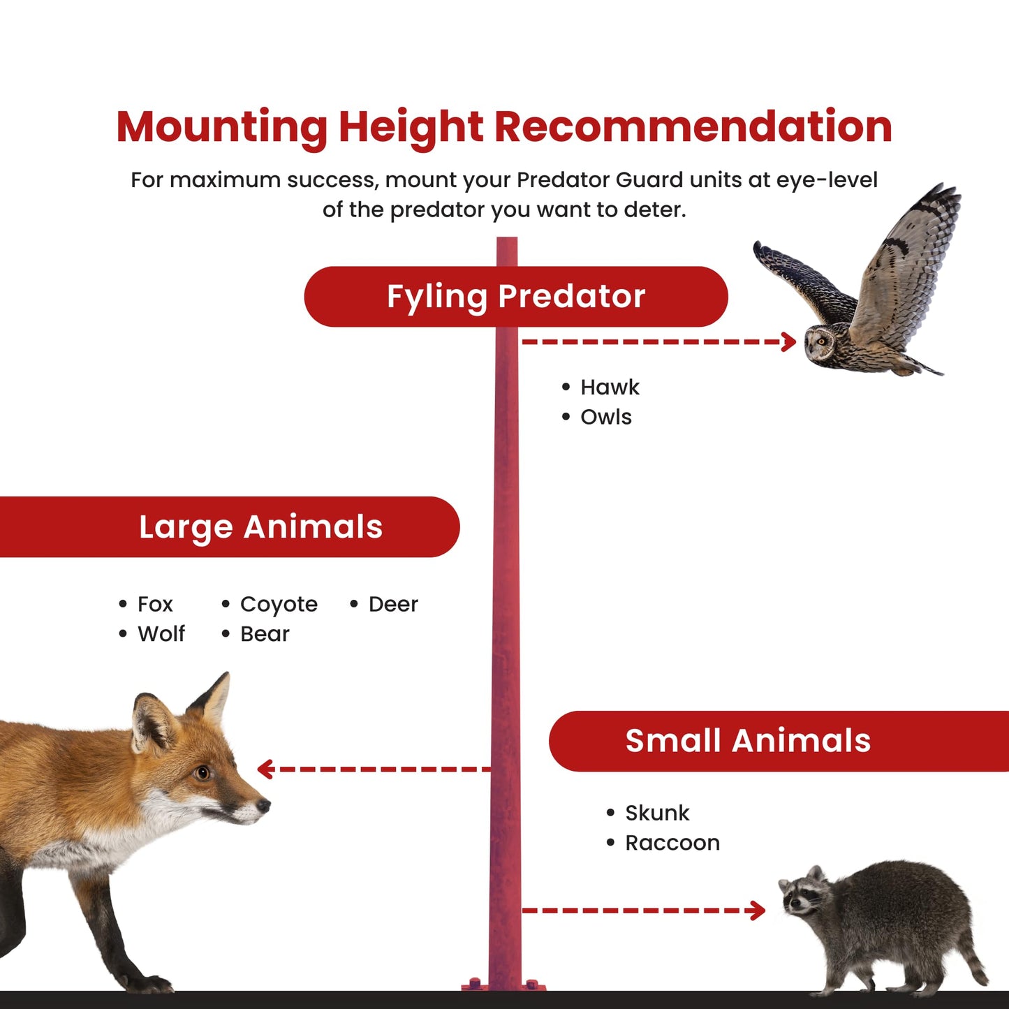 Solar Predator Deterrent Light - Nocturnal Animal Repeller