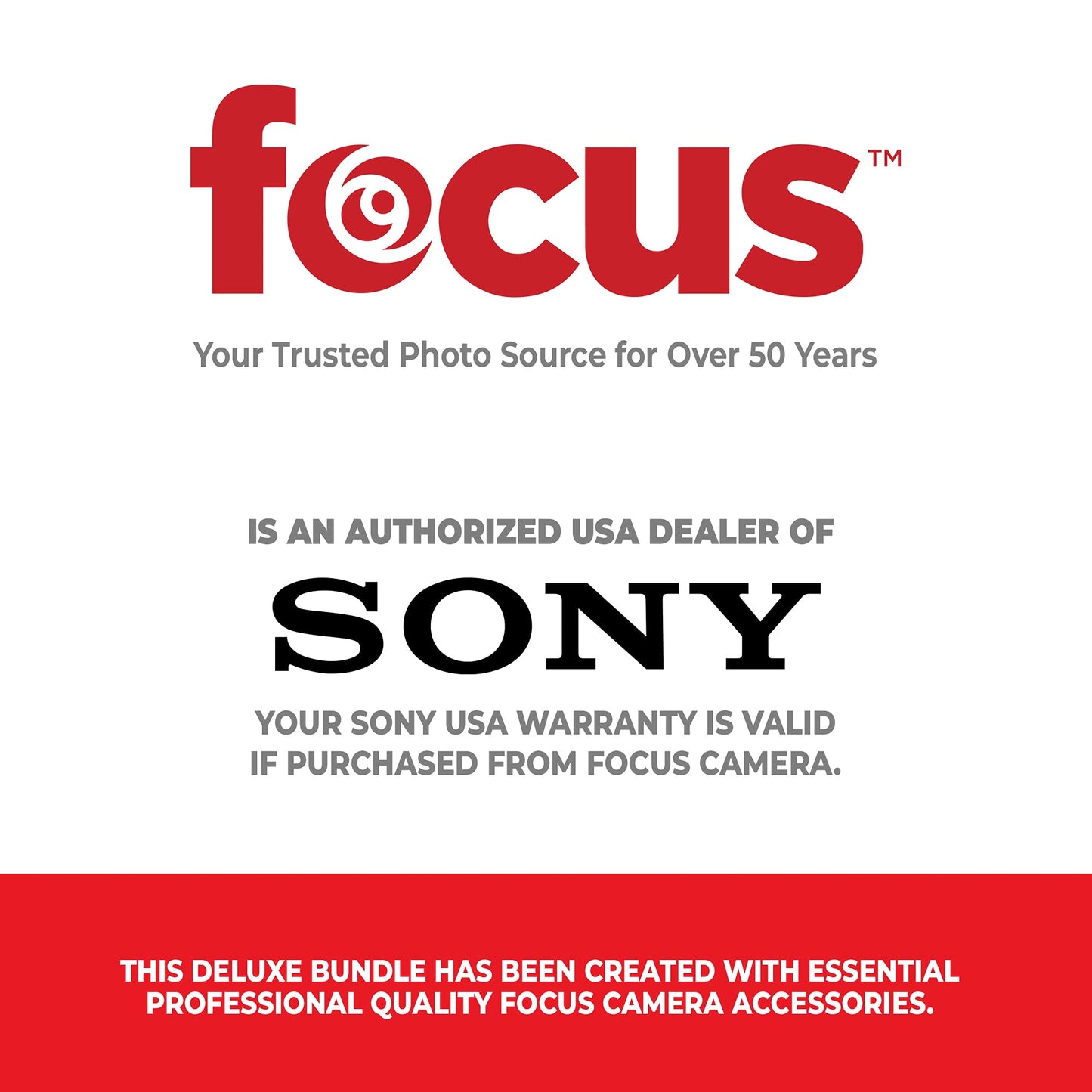 Sony Noise Canceling Earbuds