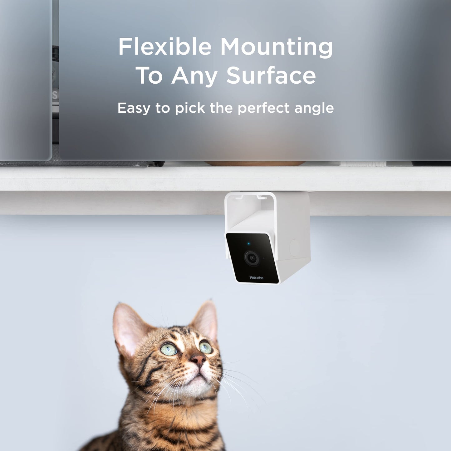 Indoor Wi-Fi Pet Camera with 2-Way Audio & Video