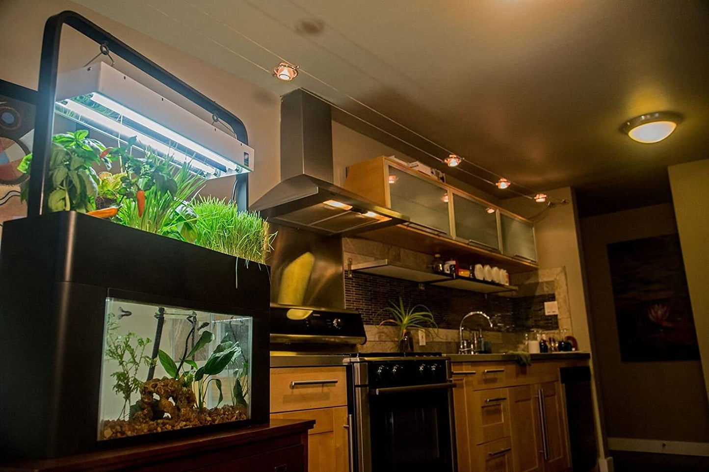 Aquaponics Garden Kit for Desktop Aquarium
