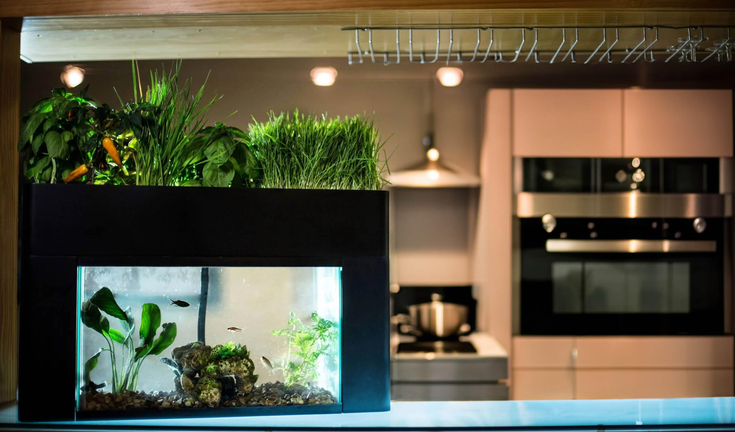 Aquaponics Garden Kit for Desktop Aquarium