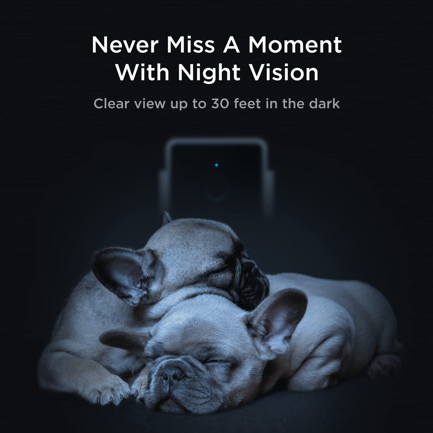 Indoor Wi-Fi Pet Camera with 2-Way Audio & Video