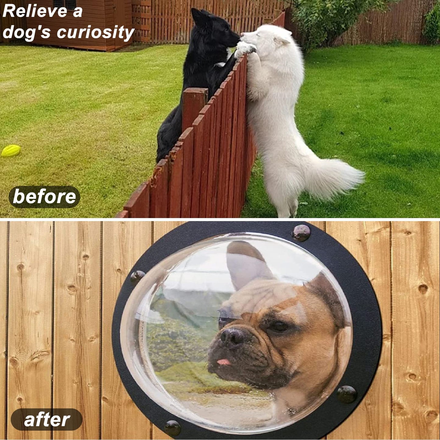 PetPeek Fence Window for Pets