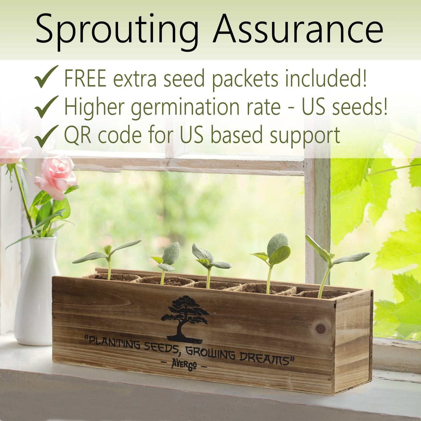 Complete DIY Bonsai Growing Kit