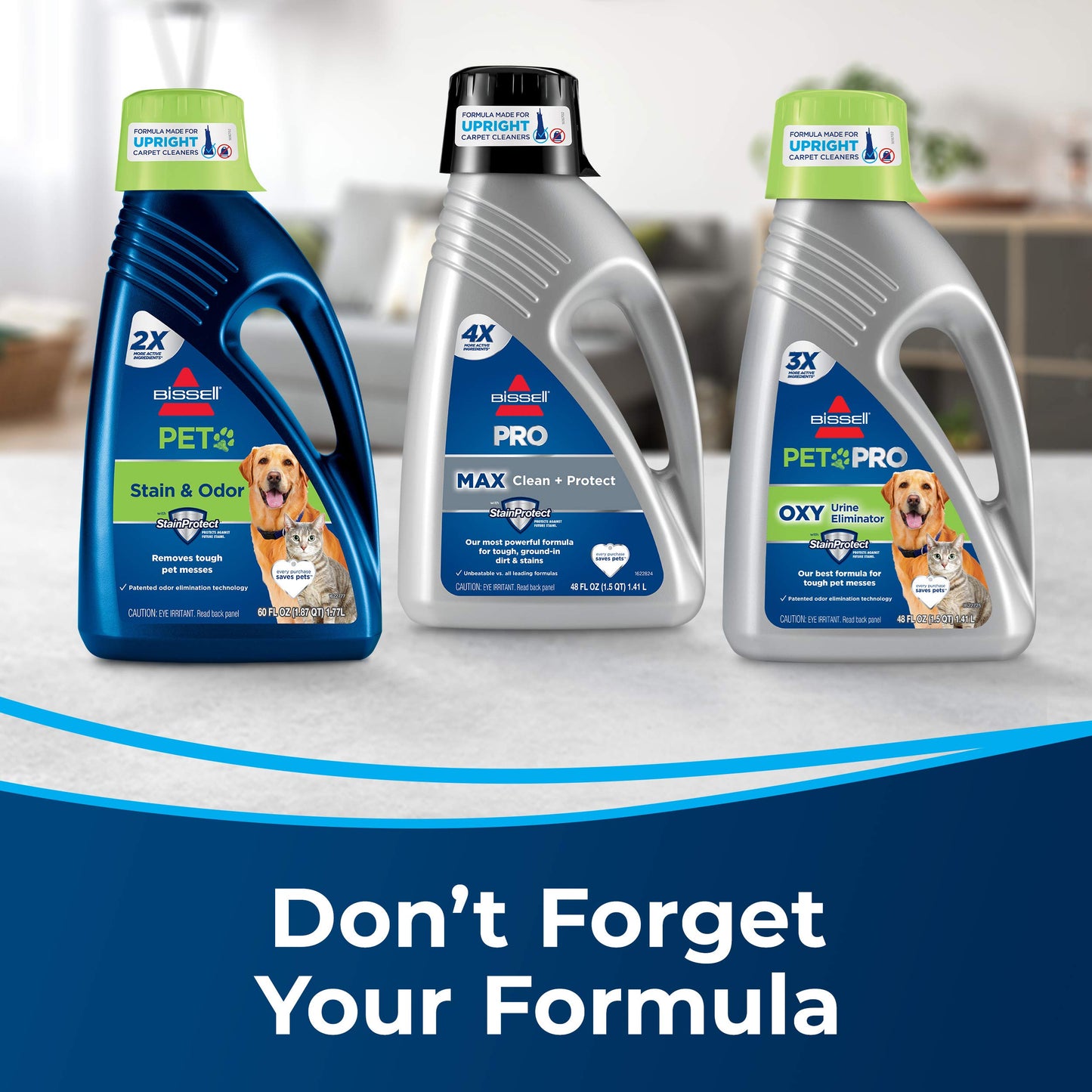 Lightweight Carpet Cleaner for Pet Messes