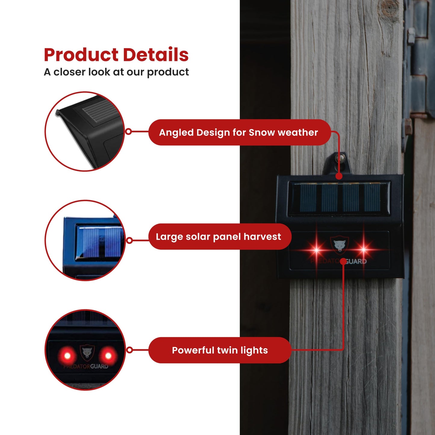 Solar Predator Deterrent Light - Nocturnal Animal Repeller