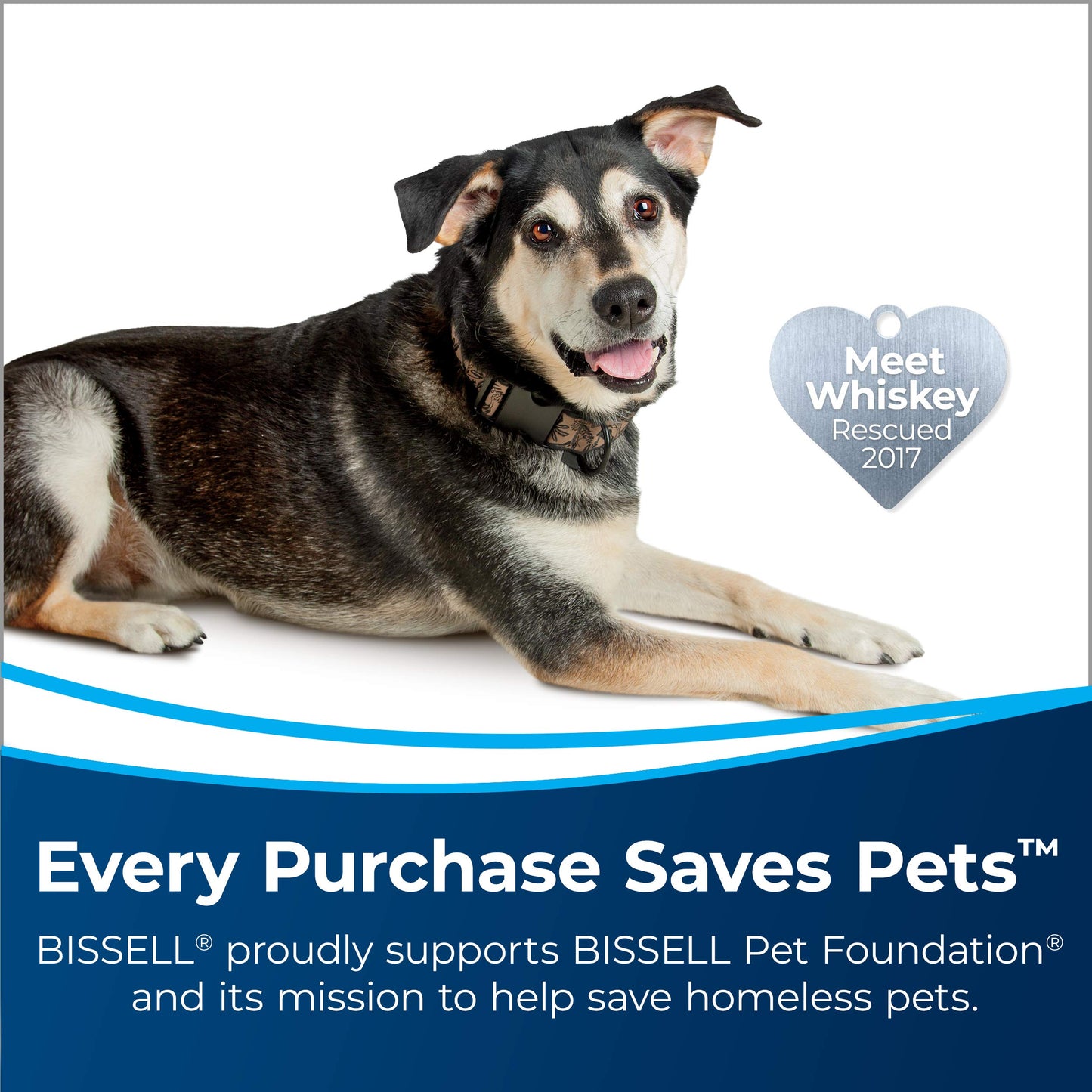 Lightweight Carpet Cleaner for Pet Messes