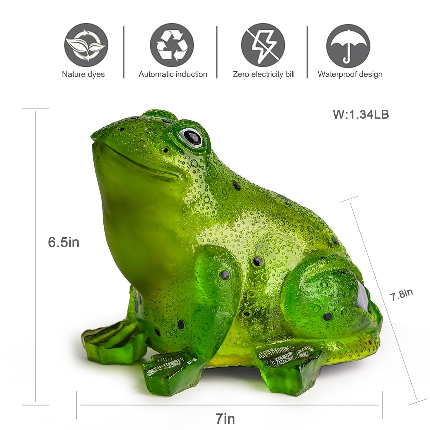 Solar Frog Light