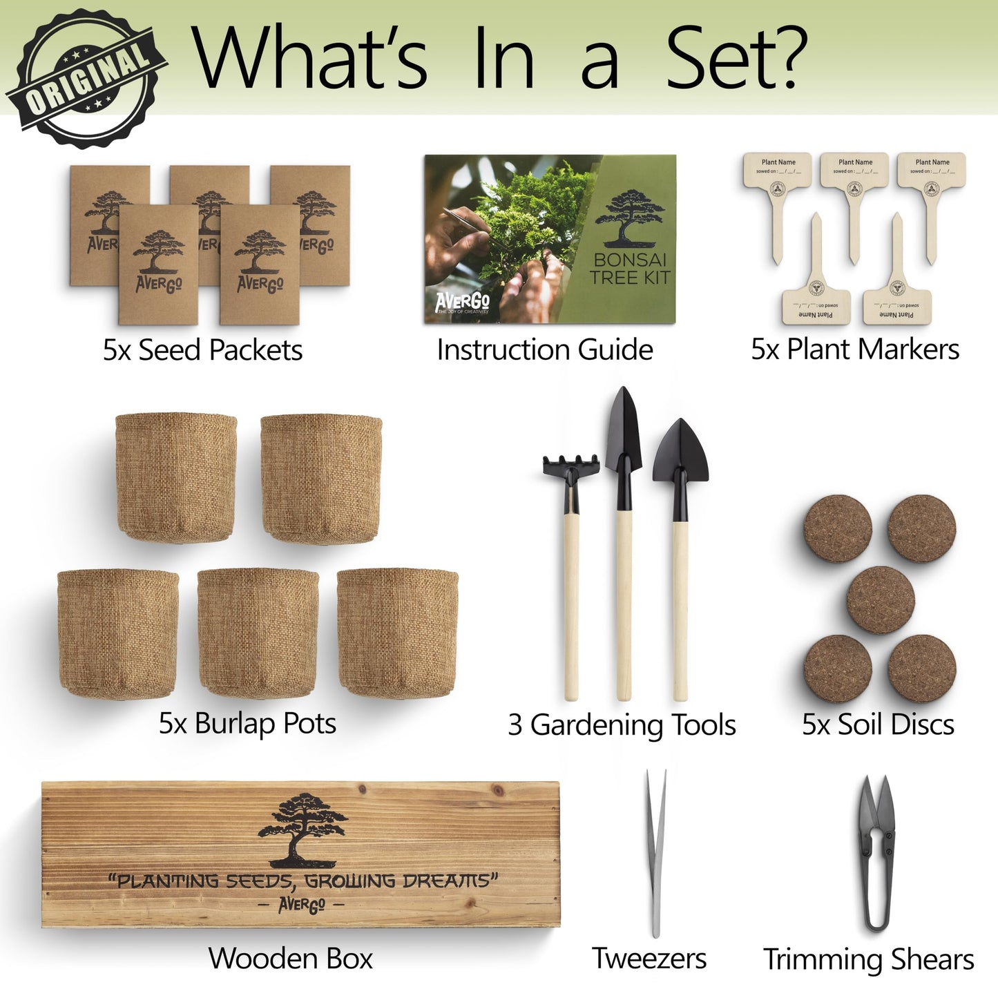 Complete DIY Bonsai Growing Kit
