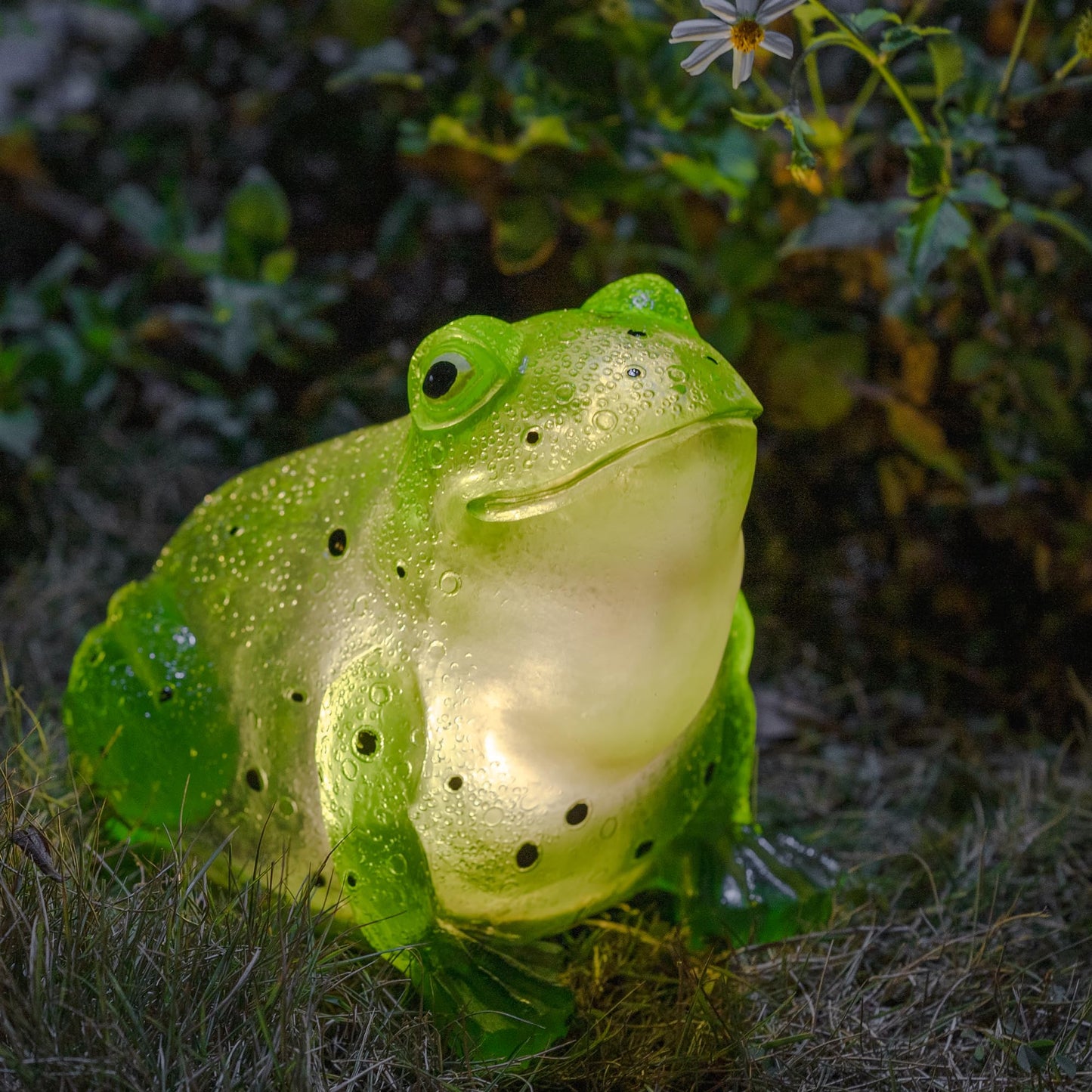 Solar Frog Light