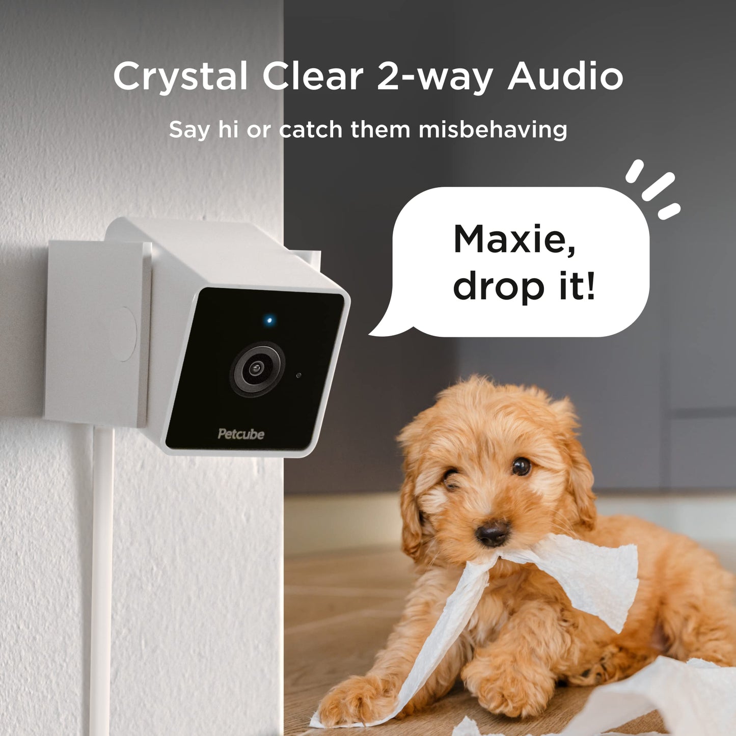 Indoor Wi-Fi Pet Camera with 2-Way Audio & Video