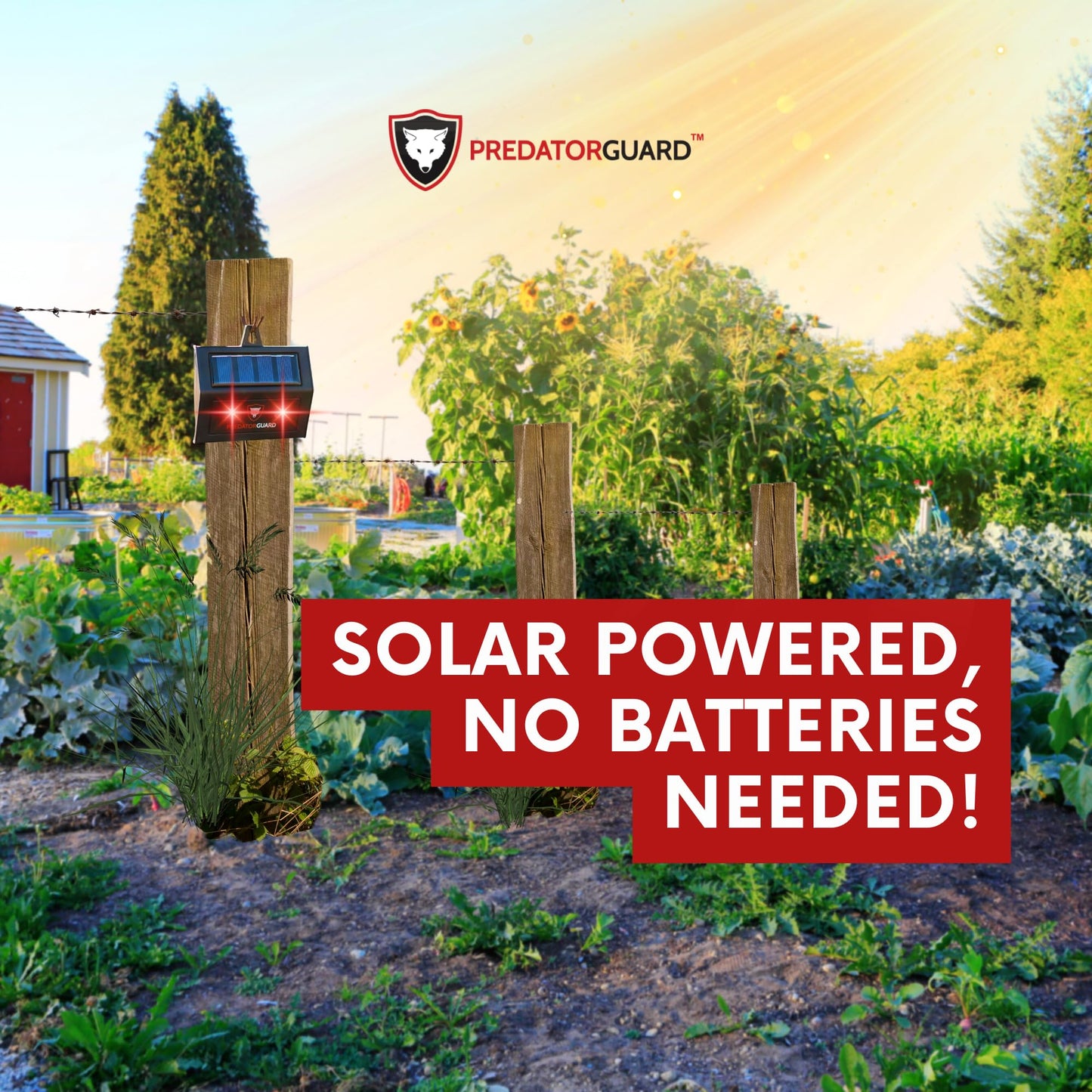 Solar Predator Deterrent Light - Nocturnal Animal Repeller