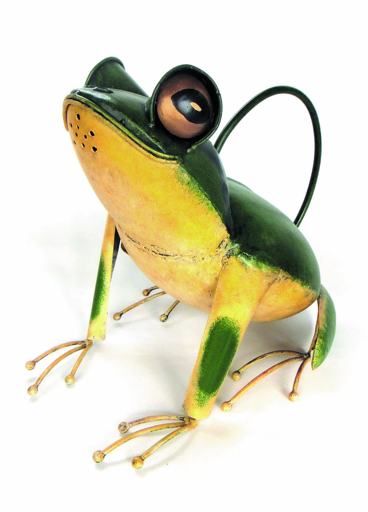 Sitting Frog Watering Can