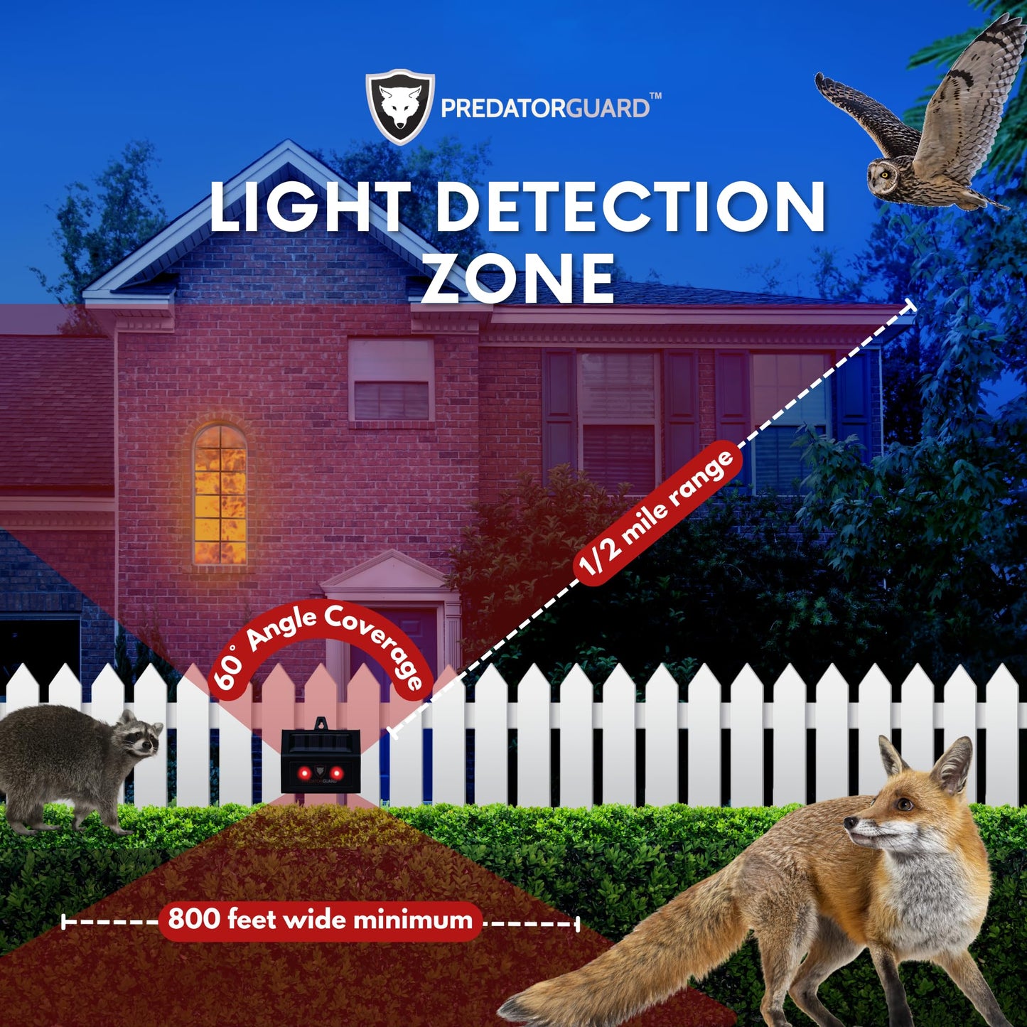 Solar Predator Deterrent Light - Nocturnal Animal Repeller