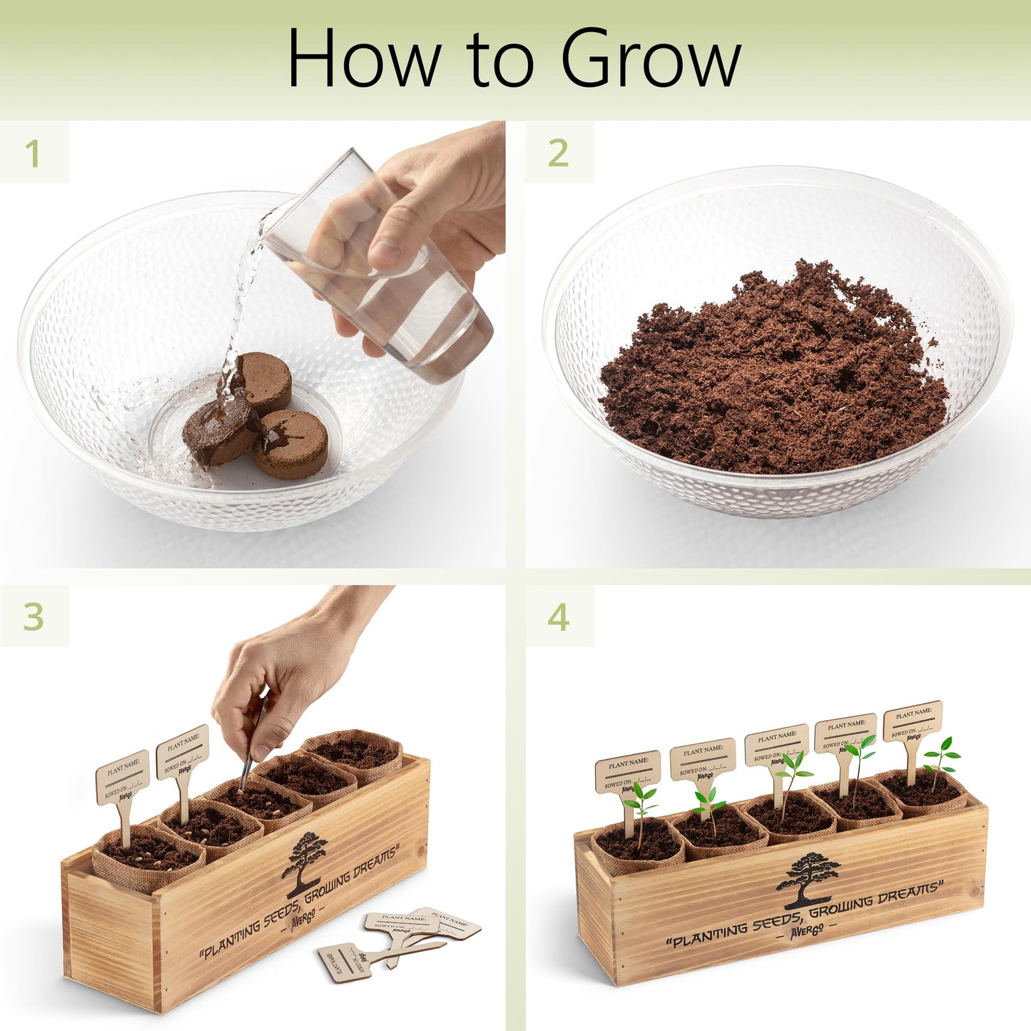 Complete DIY Bonsai Growing Kit