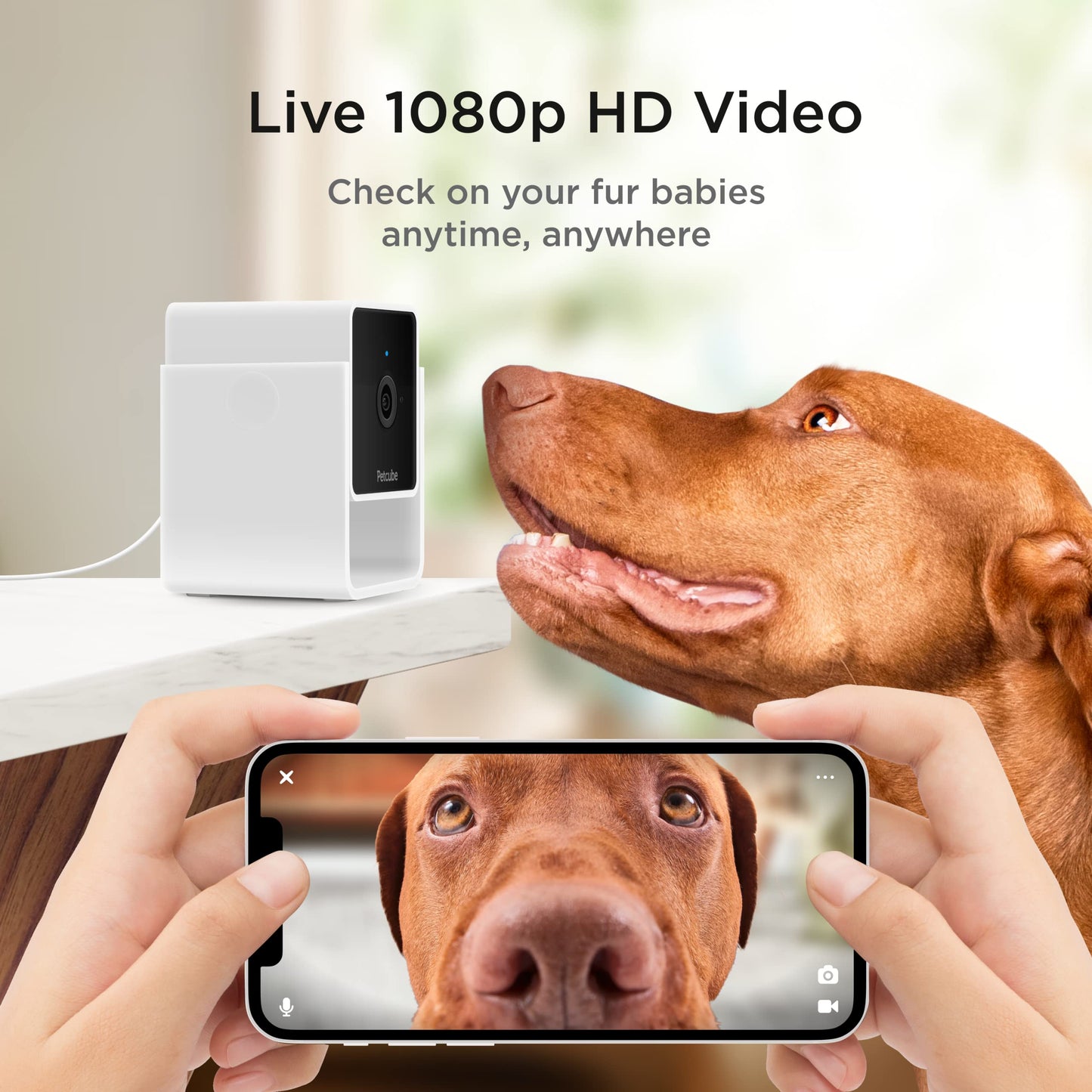 Indoor Wi-Fi Pet Camera with 2-Way Audio & Video