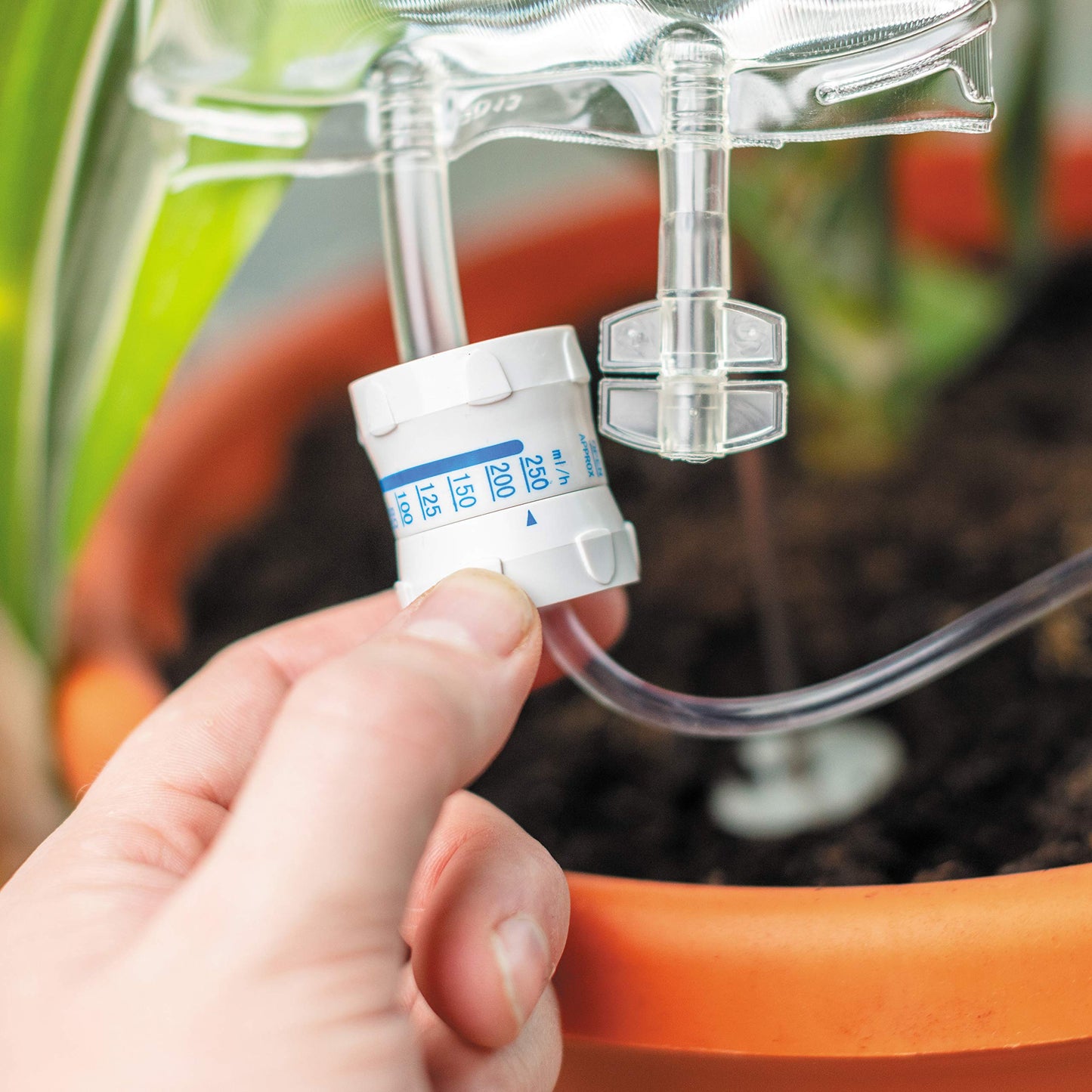Plant Life Support Watering System