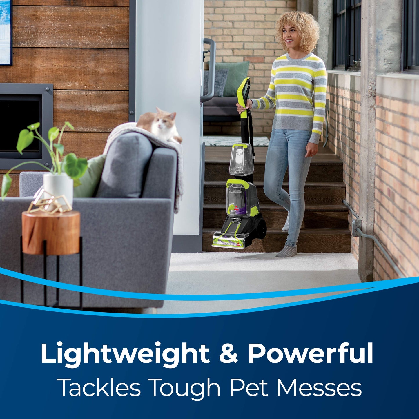 Lightweight Carpet Cleaner for Pet Messes