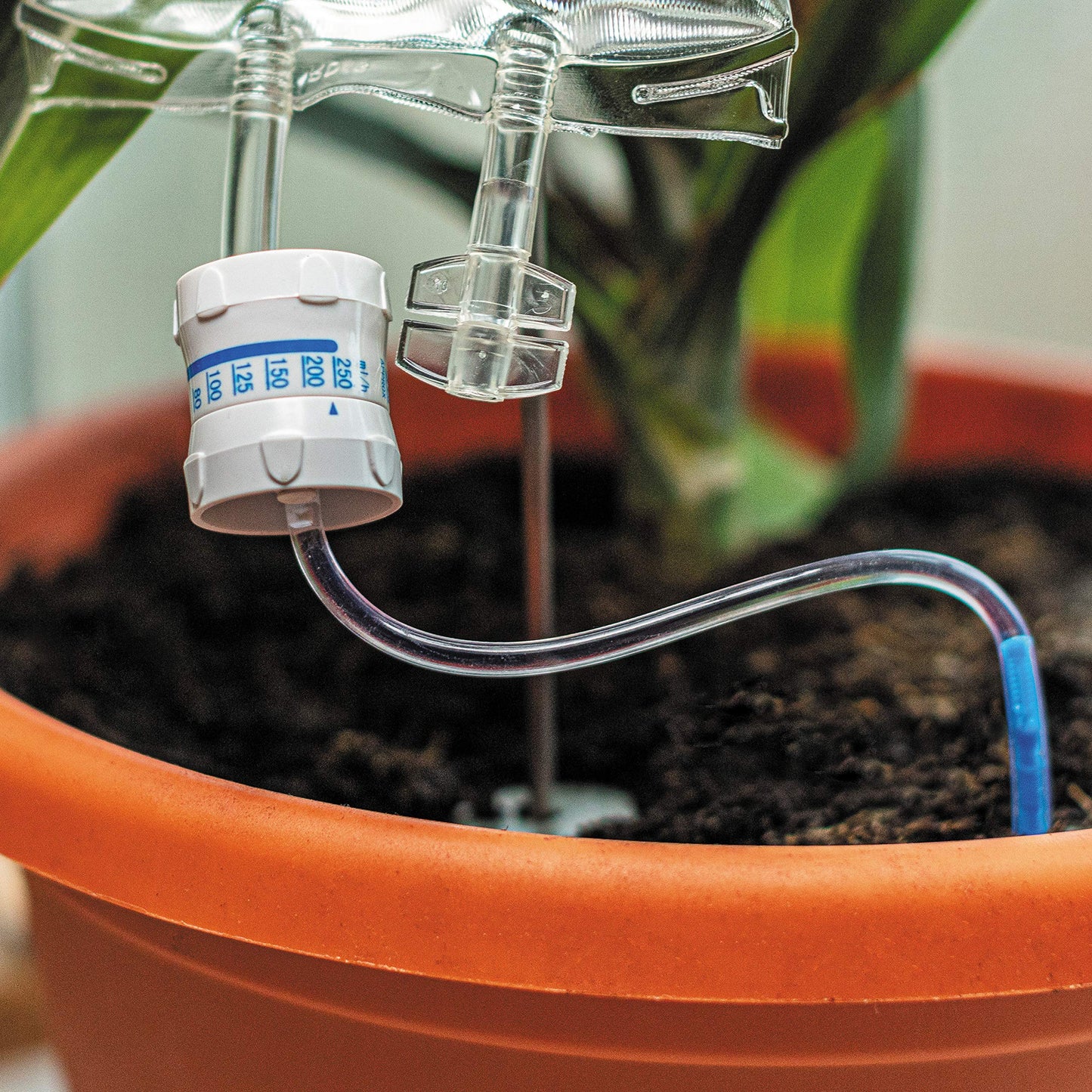 Plant Life Support Watering System