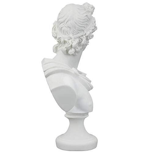 Apollo Belvedere Bust Statue - White