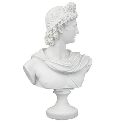 Apollo Belvedere Bust Statue - White