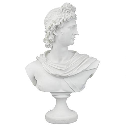 Apollo Belvedere Bust Statue - White