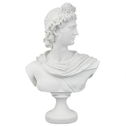 Apollo Belvedere Bust Statue - White