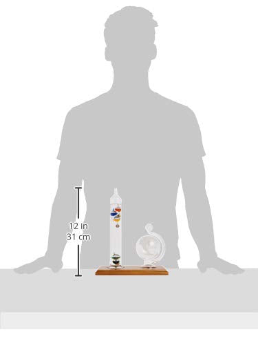 Galileo Thermometer with Barometer