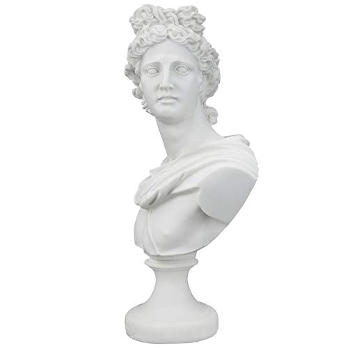 Apollo Belvedere Bust Statue - White