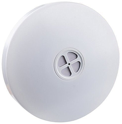 Smart Ceiling Light with Bluetooth Speaker