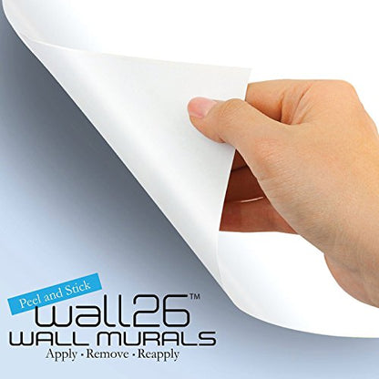Removable Dry Erase Wall Chalkboard