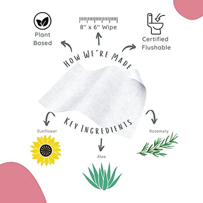 Flushable Feminine Wipes - Travel Friendly