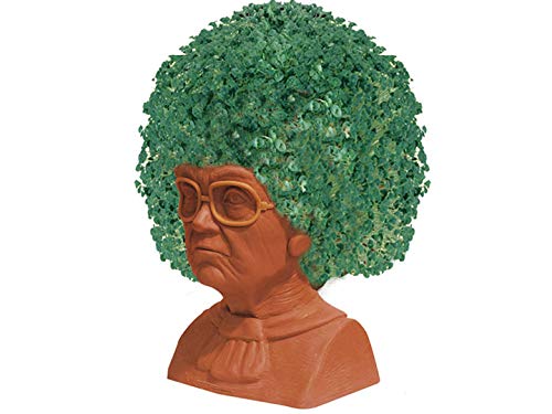 Golden Girls Sophia Chia Pet