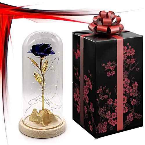 Beauty and The Beast Rose Kit