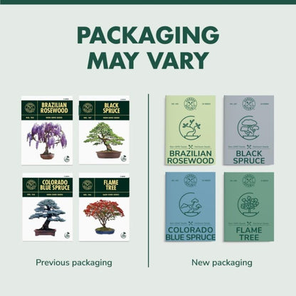 Bonsai Tree Seed Starter Kit