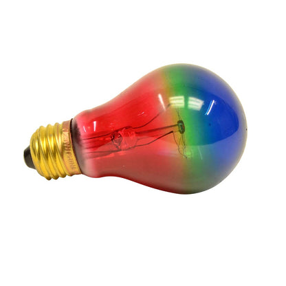 Rainbow Lightbulb