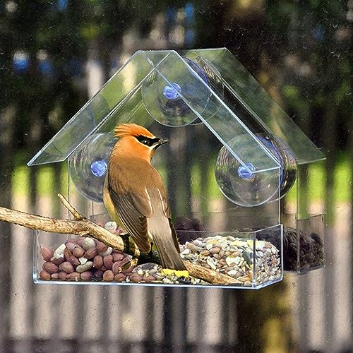 Window Bird Feeder with Suction Cups