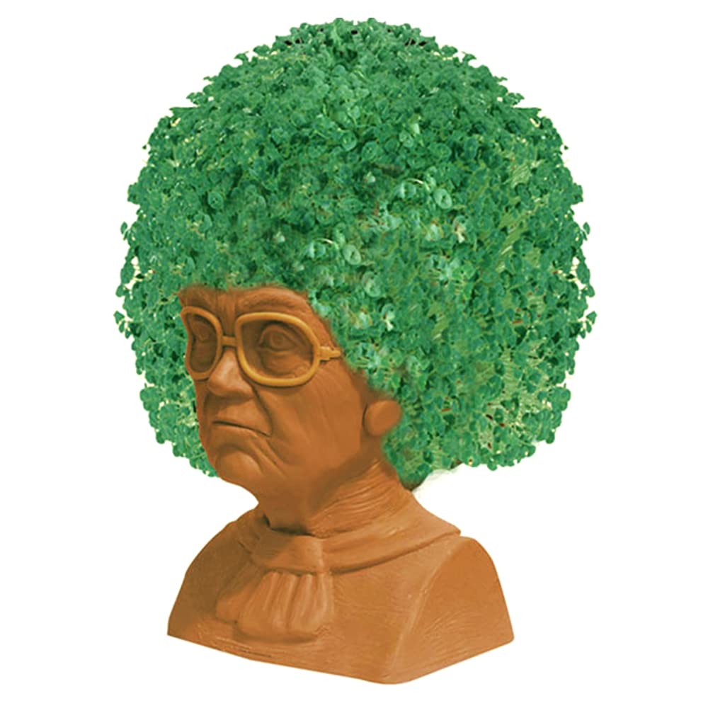 Golden Girls Sophia Chia Pet